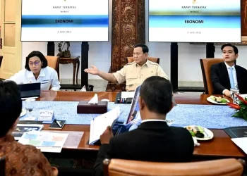 Presiden Prabowo Ingin Bansos Diberikan Tepat Sasaran Sesuai DTSEN