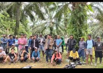 Konflik Sengketa Lahan Antara Masyarakat dan PT. Mamuang di Desa Martasari, Pasangkayu