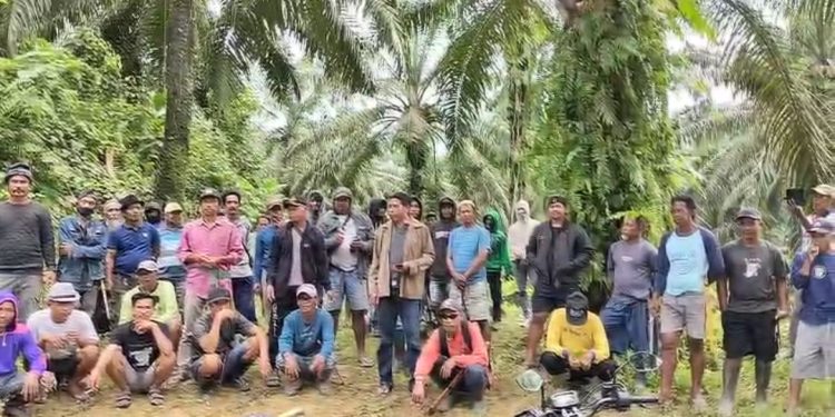 Konflik Sengketa Lahan Antara Masyarakat dan PT. Mamuang di Desa Martasari, Pasangkayu