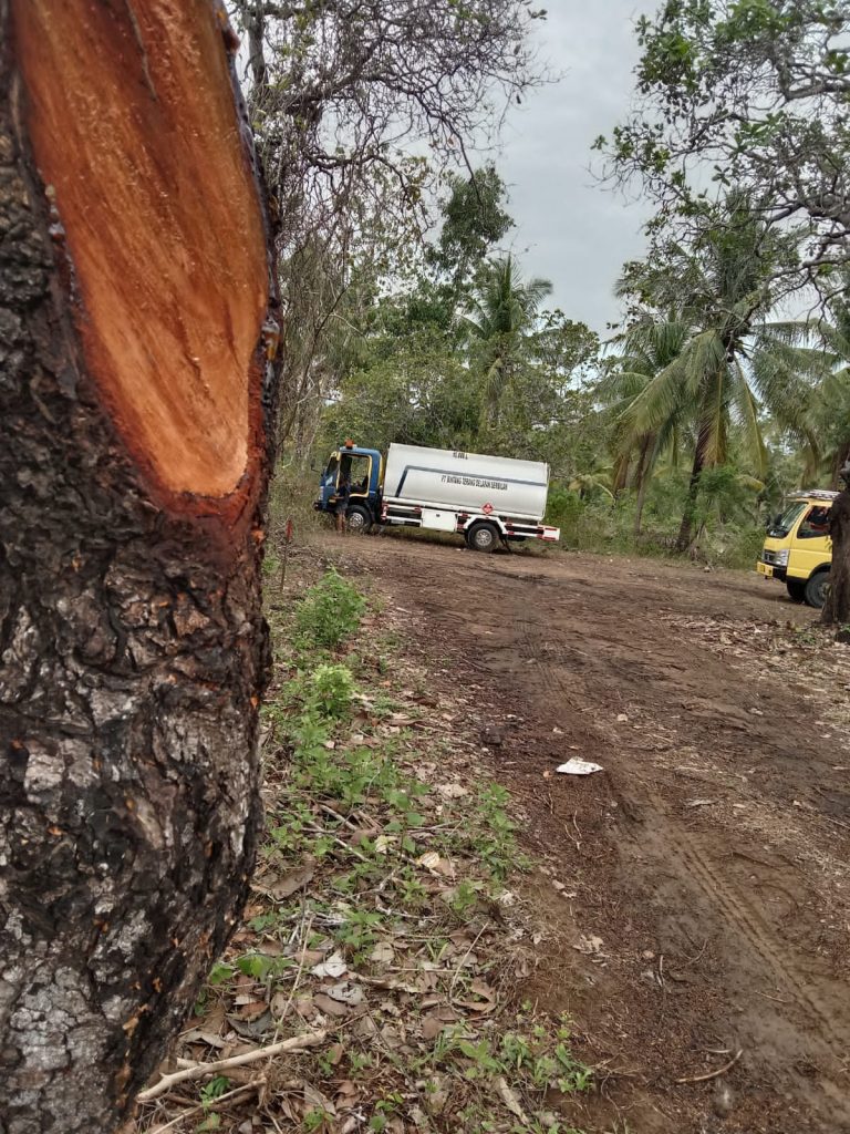 Gudang Solar Subsidi Ilegal di Desa Waetuo Diduga Beroperasi Lama, Belum Ada Tindakan Hukum