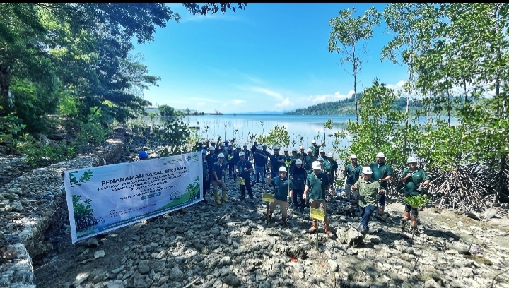 Astra Agro Dorong Pelestarian Pesisir Melalui Penanaman Mangrove di Pasangkayu