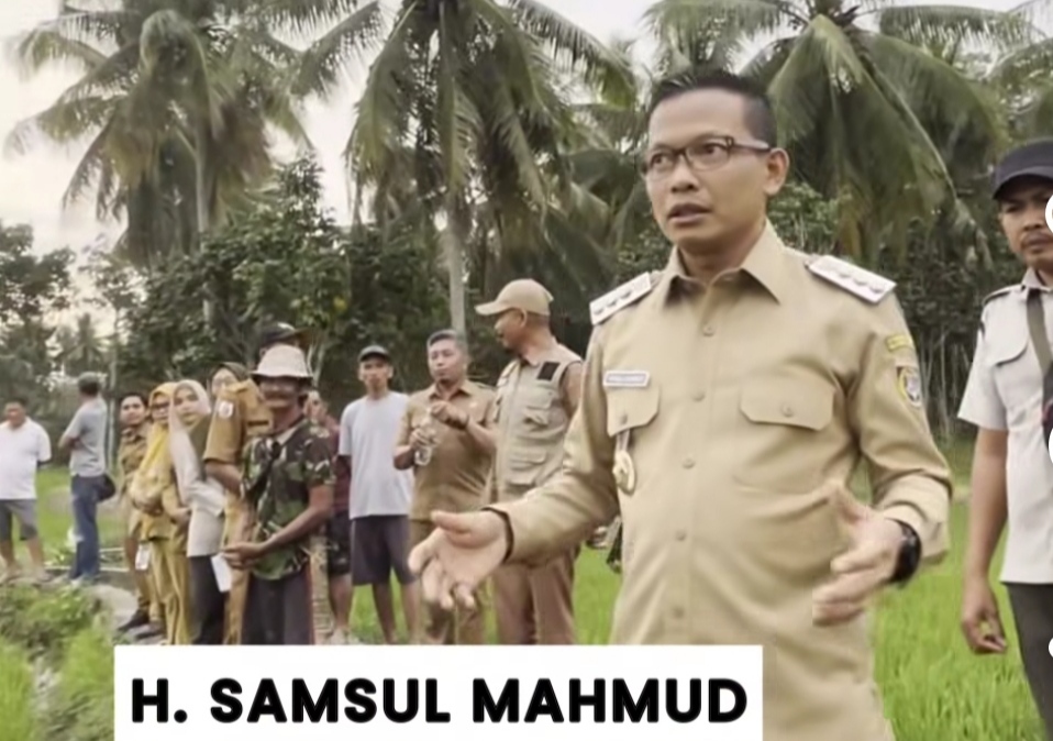 Ratusan Hektar Sawah Kekeringan di Polman, Bupati Siap Tangani