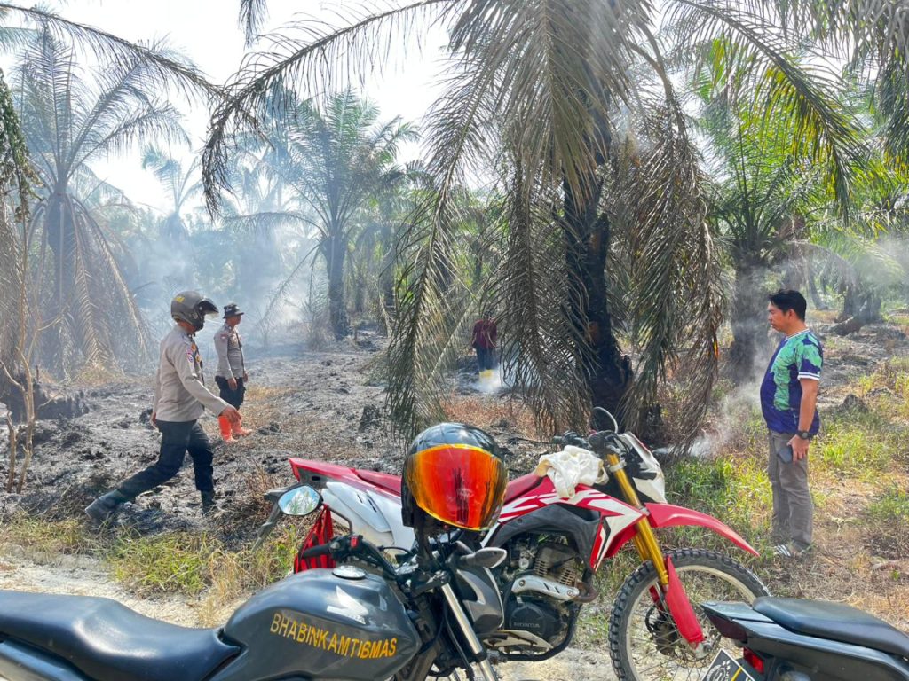 Diduga Akibat Puntung Rokok, Polisi Pasangkayu Gerak Cepat Padamkan Api di Lahan Kebun Sawit