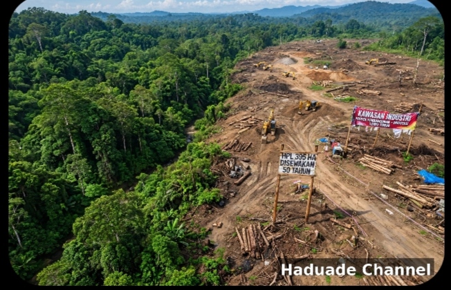 DIDUGA JADI SOROTAN: Status 395 Ha HPL di Desa Harapan Luwu Timur Dipertanyakan, Disebut Lahan Kompensasi PLTA Karebbe