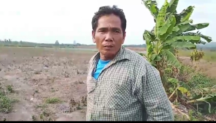 Diduga 10 Hektare Lahan Kelompok Tani Sirennuang Beralih Fungsi Jadi Sawit, Ketua Kelompok Harapkan Perhatian Pemerintah